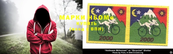 амф Вяземский
