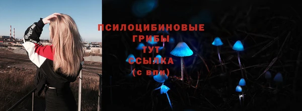 амф Вяземский