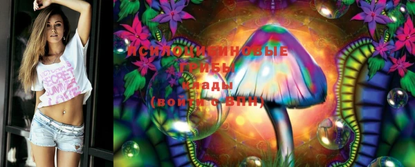 амф Вяземский