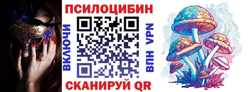 Псилоцибиновые грибы Cubensis  Павлово 